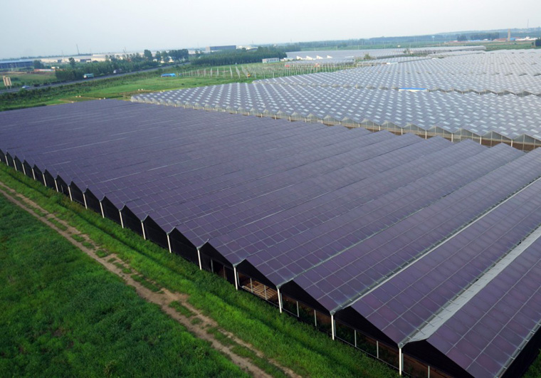 养殖大棚光伏项目申请流程 养殖大棚光伏项目申请流程