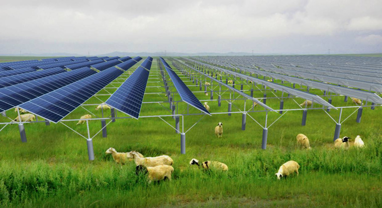 一亩光伏电站利润多少